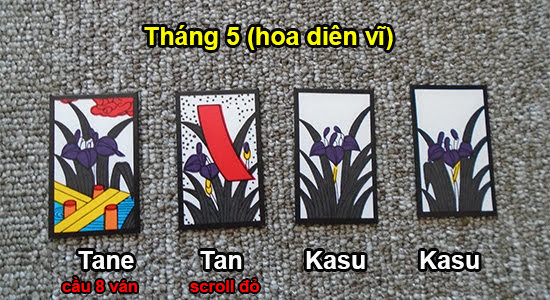 Một bộ bài Hanafuda 4