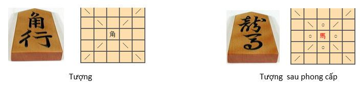 Cách đi, bắt quân của các quân cờ Shogi 3