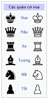Tên gọi và dáng vẻ những quân cờ vua 0