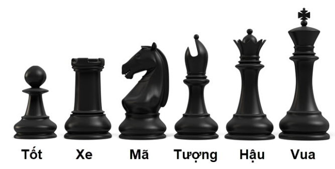 Hướng dẫn cách sắp xếp bàn cờ vua