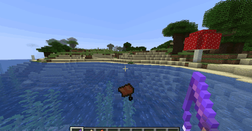 Nhặt Yên ngựa khi câu cá 1