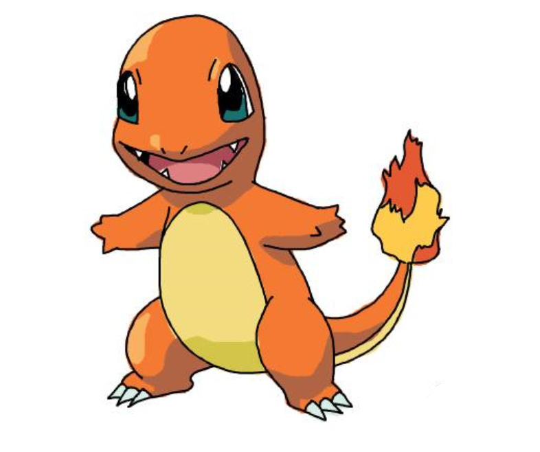 Pokemon Charmander 8