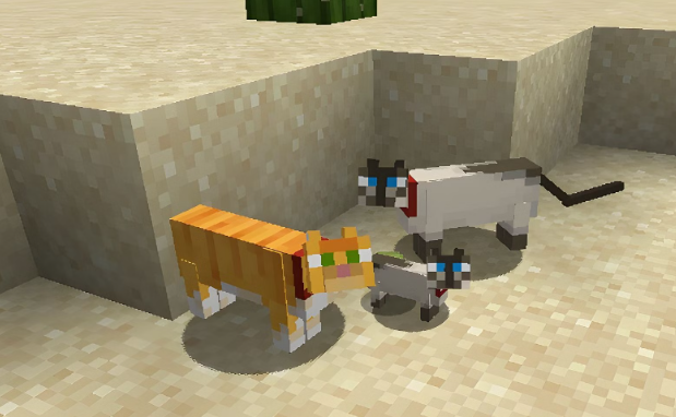 Thuần hóa Mèo 0