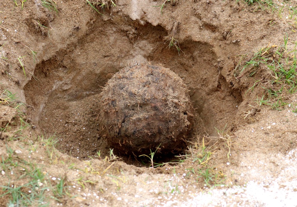 Chuẩn bị trước khi chơi 0